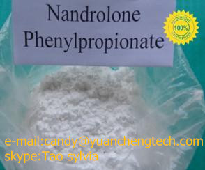 Nandrolone phenylpropionate